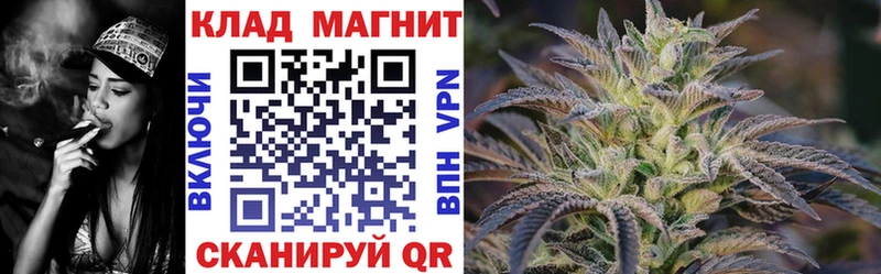Магазины продажи наркотиков Фрязино Cocaine Alpha-PVP Каннабис Псилоцибиновые грибы Меф