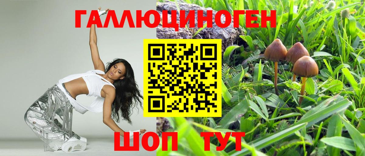 Псилоцибиновые грибы Фрязино