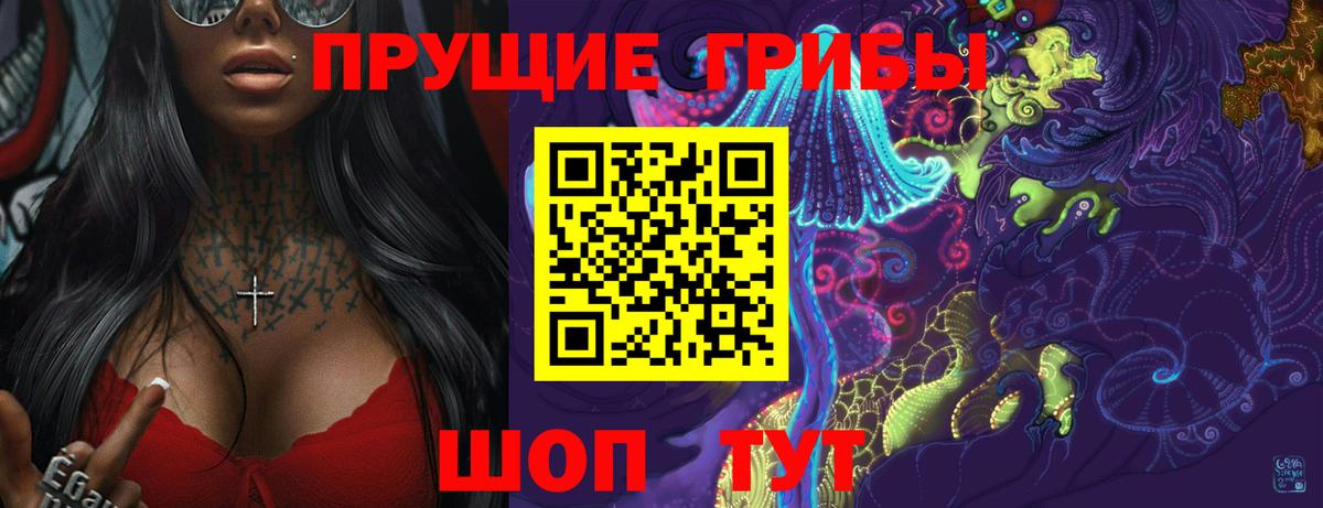 Псилоцибиновые грибы Psilocybe  Вход с VPN  Фрязино 